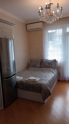 巴库Gold Baku的一间卧室配有一张带冰箱和吊灯的床。