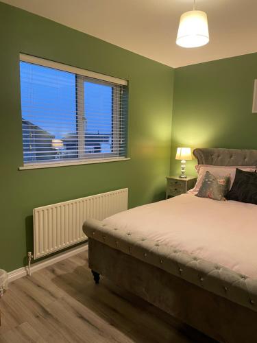 伦敦德里Heights View Apartment的一间卧室设有绿色的墙壁、一张床和窗户