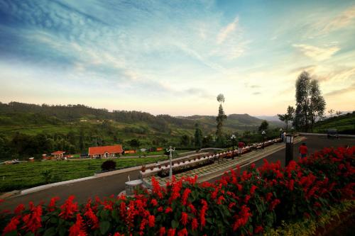 乌提西面山谷度假村的一条满是红花的路上的火车车厢