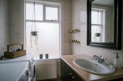 塞济斯菲厄泽Hotel Aldan - The Old School的一间带水槽和窗户的浴室
