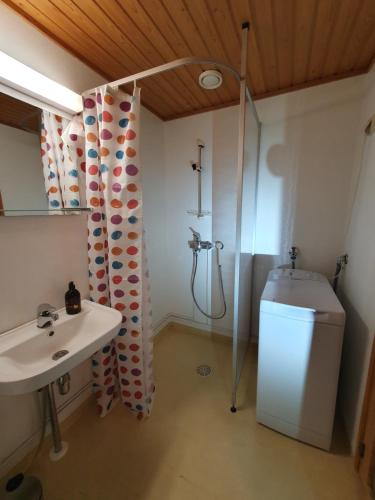 罗瓦涅米Apartment Marja's place的带淋浴、卫生间和盥洗盆的浴室