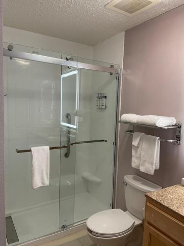 博登镇博登敦特伦顿烛木套房酒店的浴室设有玻璃淋浴间和卫生间