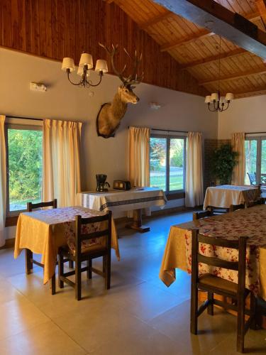 阿卢米内Estancia Quillen Lodge - Hosteria的客厅设有桌子,墙上设有鹿头