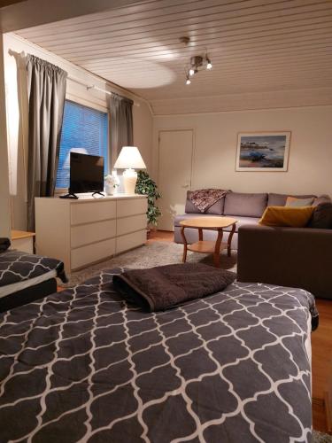 耶姆赛Koskentien kotimajoitus的客厅配有床和沙发