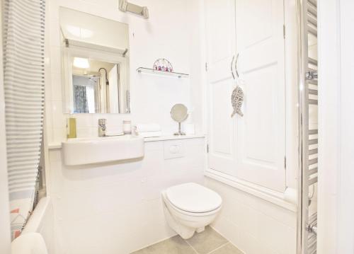 阿伯蒂费Beautiful Aberdovey Seafront Apartment 2的白色的浴室设有卫生间和水槽。