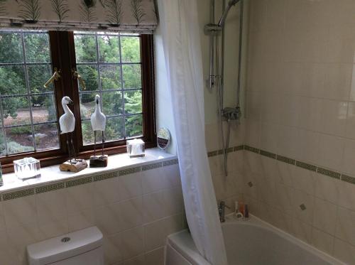 珀肖尔NIGHTINGALE B&B的一间带卫生间和浴缸的浴室以及窗户。