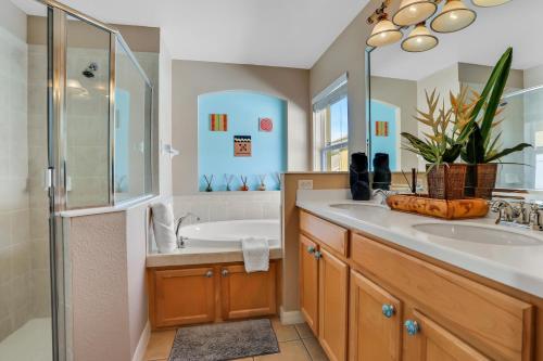 达文波特Florida Splash的带浴缸、水槽和淋浴的浴室