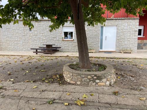 VilafantLes Oliveres - casa- apartament的野餐桌和大楼前的树