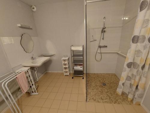 Saint Paul de Loubressac奥夏梅都拉瓦特酒店的带淋浴和盥洗盆的浴室