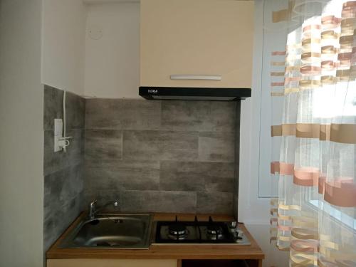 苏恰瓦Criss Apartament的一间带水槽和炉灶的小厨房