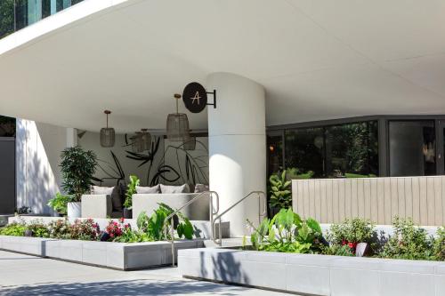 亚特兰大Kimpton Shane Atlanta, an IHG Hotel的一座有三个种植园的建筑,里面种植植物