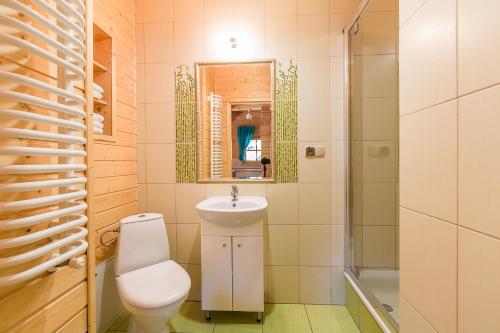 巴利格鲁德Domki Bystre的浴室配有卫生间、盥洗盆和淋浴。