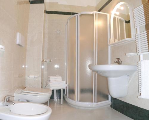 圣安吉罗山佩莱格里诺酒店的带淋浴、卫生间和盥洗盆的浴室