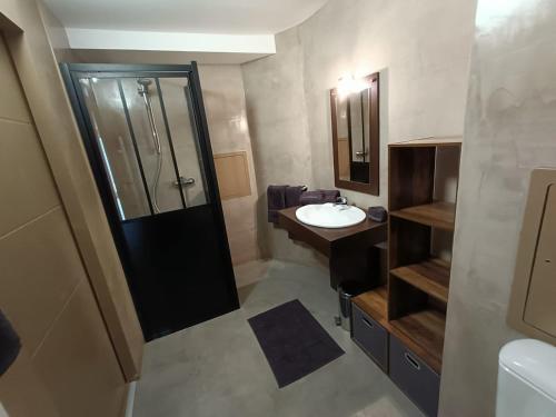 莱代塞尔Fleurs des Alpes的一间带水槽和淋浴的小浴室