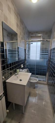 洛格罗尼奥Apartamento Manzanera的一间带水槽和卫生间的浴室