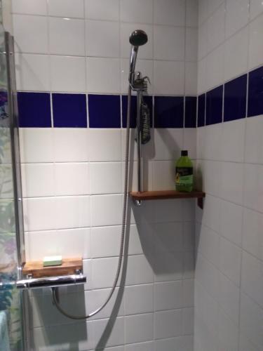 吕克瑟勒,,Björklunda" cozy apartment in swedish lapland的浴室铺有蓝色和白色瓷砖,设有淋浴。