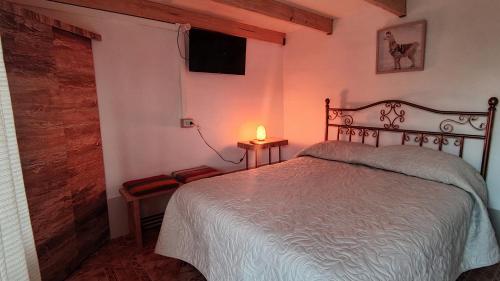 圣佩德罗·德·阿塔卡马Pirca Hostal的一间卧室配有一张床和一张桌子上的台灯