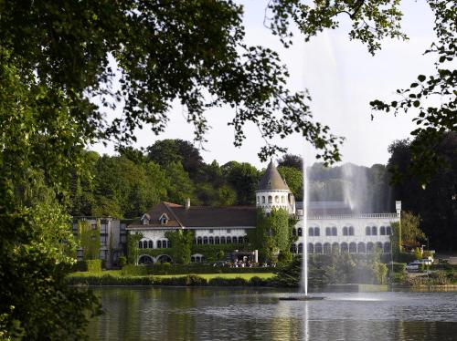 亨法尔马丁迪拉克城堡酒店的湖中带喷泉的建筑