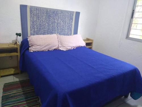 拉埃斯梅拉达Casa en La Esmeralda Uruguay的一间卧室配有蓝色的床和蓝色的毯子