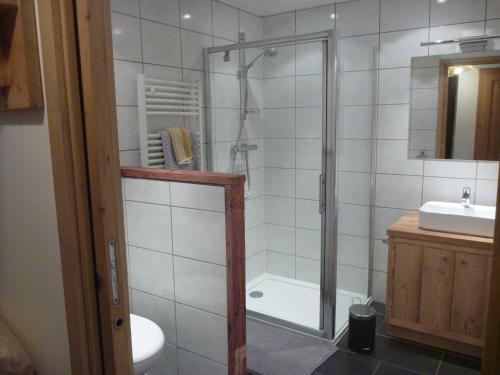 谷雪维尔Appartement Le Hibou的带淋浴、卫生间和盥洗盆的浴室