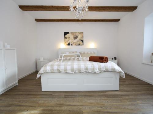 Zarchlincharming apartment with fireplace的白色卧室配有一张床和一个吊灯