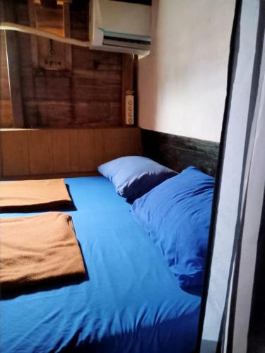 纳闽巴霍Share/Open trip komodo 2Days 1 Night的一间卧室,在房间内配有两张蓝色的床