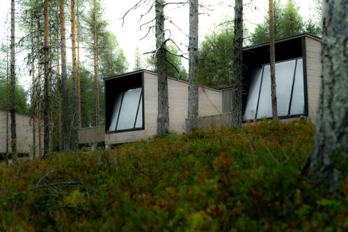 萨拉Salla Wilderness Lodges的树林中的一间小屋,设有玻璃窗