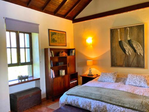 特罗尔Casa Rural CaChispita的卧室配有一张床,墙上挂有绘画作品