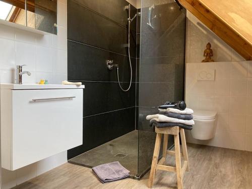 HeersGastenverblijf Chambre dAmis的带淋浴和毛巾凳子的浴室