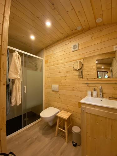 泰昂维Les roulottes a Sandie的浴室配有卫生间、盥洗盆和淋浴。
