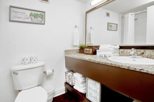 默特尔比奇Landmark Resort 1208的一间带水槽、卫生间和镜子的浴室