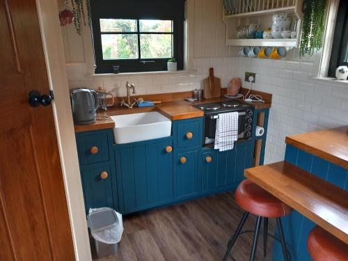 韦斯特波特Delightful Shepherds Hut的蓝色的厨房设有水槽和炉灶