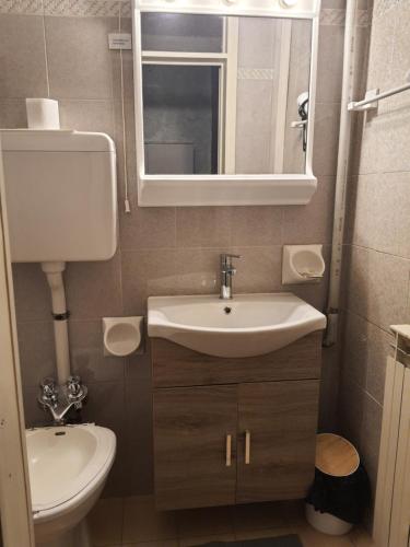 法纳诺hotel Bologna的一间带水槽、卫生间和镜子的浴室
