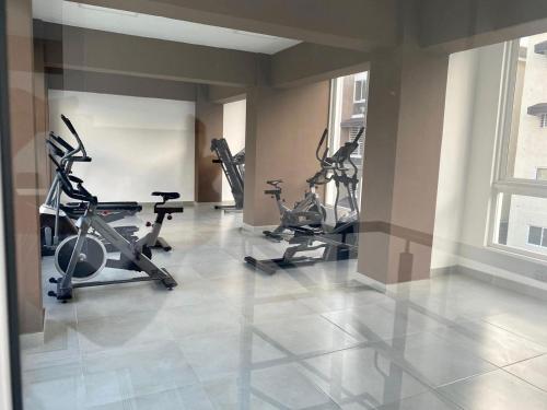 圣多明各Apartamento Esme的健身房,室内配有几辆健身自行车