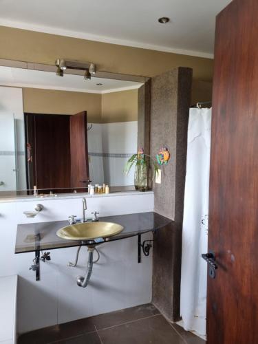 萨尔塔Hostal las Rosas的一间带水槽和镜子的浴室