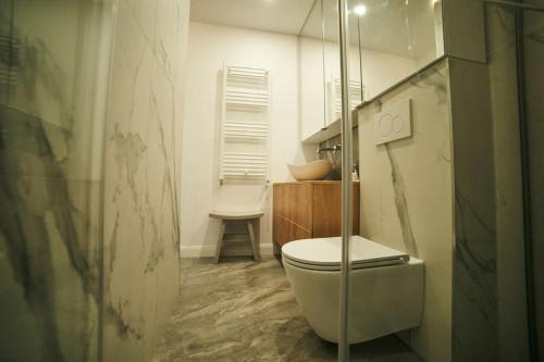 布加勒斯特Ultracentral two rooms apartment in Bucharest的一间带卫生间和玻璃淋浴间的浴室