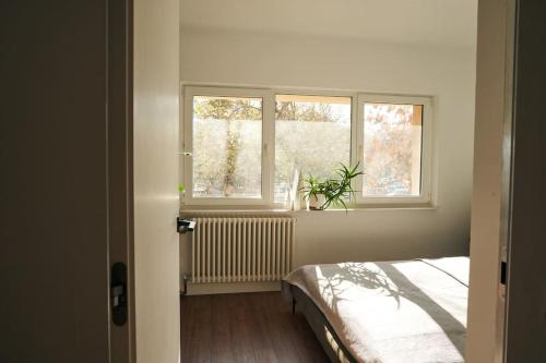 布加勒斯特Ultracentral two rooms apartment in Bucharest的一间卧室设有一张床和两个窗户。