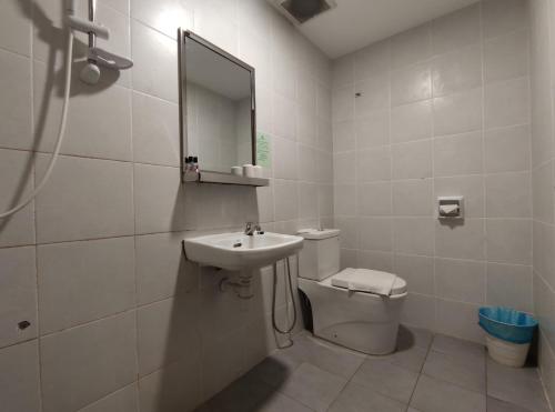 迪沙鲁迪沙鲁槟纳瓦尔酒店的一间带水槽、卫生间和镜子的浴室
