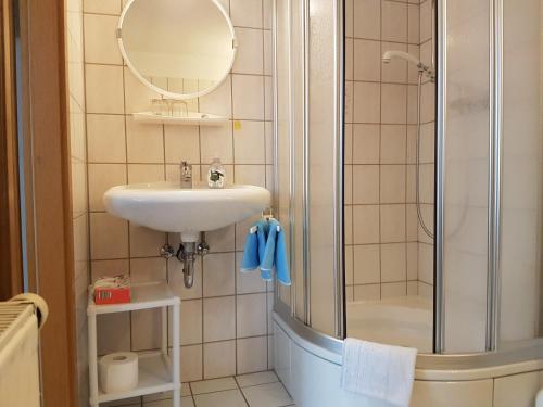 ZschopauPension Zur Altdeutschen的一间带水槽和淋浴的浴室