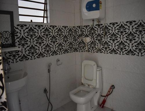SonādaGhangri Sherpa Luxury Homestay, Darjiling的一间带卫生间和水槽的浴室