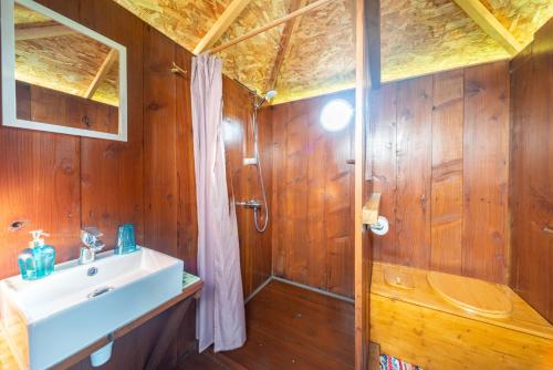 FaverollesLe Nid du Tui的浴室配有水槽和带木墙的淋浴