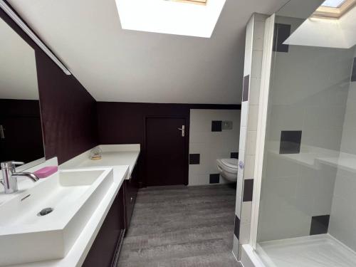 康博莱班Maison Cambo-les-Bains, 4 pièces, 4 personnes - FR-1-495-48的一间带水槽和卫生间的浴室
