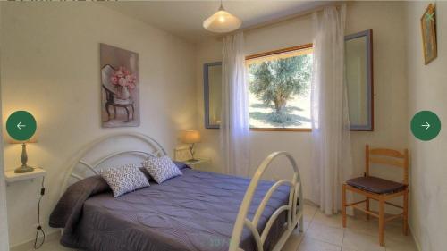 阿雅克修L'AMANDIER -LE FIGUIER-LES LAURIERS ROSES的一间卧室设有一张床和一个窗口