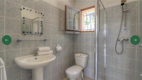 阿雅克修L'AMANDIER -LE FIGUIER-LES LAURIERS ROSES的一间带水槽、卫生间和淋浴的浴室