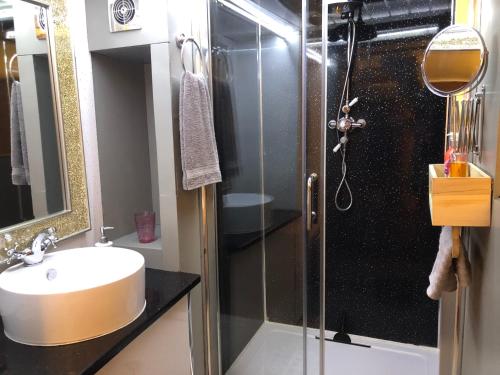 奥特利Otley town centre apartment的一间带水槽和淋浴的浴室