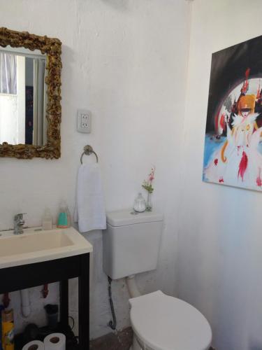布宜诺斯艾利斯Pinzon P&G的一间带卫生间、水槽和镜子的浴室