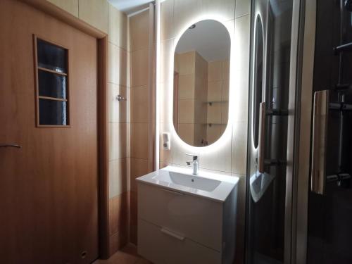希维托赫洛维采Apartament Skałka的一间带水槽和镜子的浴室