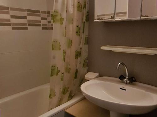 圣拉里苏朗Appartement Saint-Lary-Soulan, 2 pièces, 6 personnes - FR-1-457-253的一间带水槽和淋浴帘的浴室
