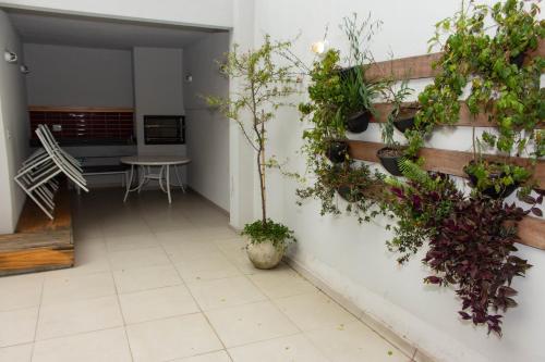 圣保罗360 Av Ipiranga的墙上有盆栽植物的走廊
