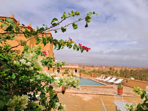 Nkob卡斯巴恩那海尔旅馆的享有沙漠景致的别墅 - 带游泳池